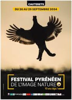 affiche festival.jfif