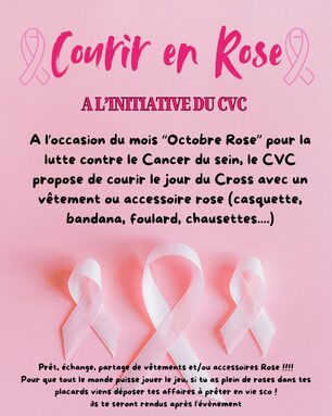 OCTOBRE ROSE.jpg